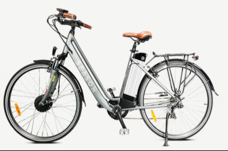 Batterie E-Bike 36V 15.6Ah (577Wh) – Format SilverFish | Lithium-Ion | Compatible MiFa, Rex, Prophete, Aldi