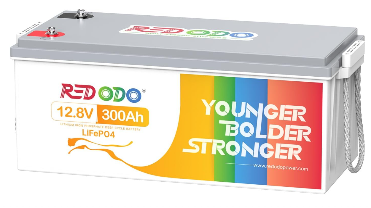 Redodo Batterie au Lithium 12V-24V