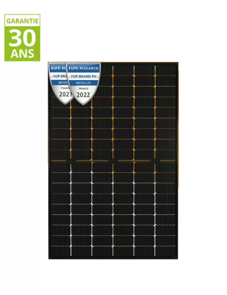DUALSUN Panneau FLASH HALF CUT G/G 410WC MONO