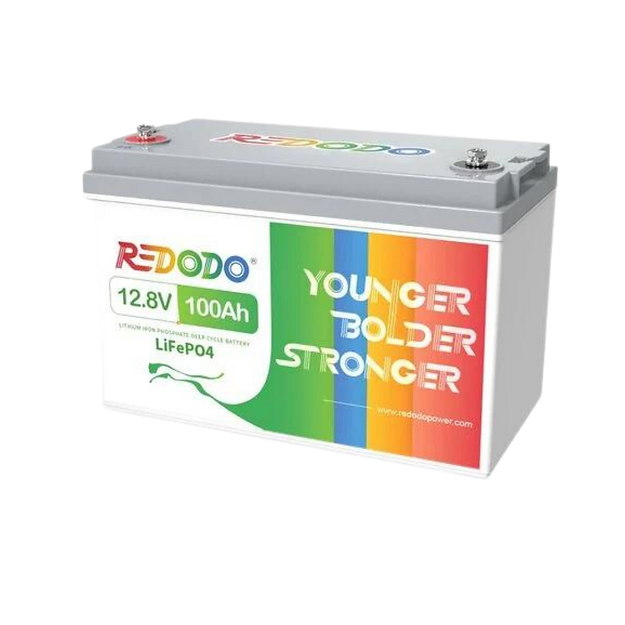 Redodo Batterie au Lithium 12V-24V