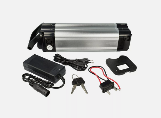 Batterie 24V 10 Ah 240Wh