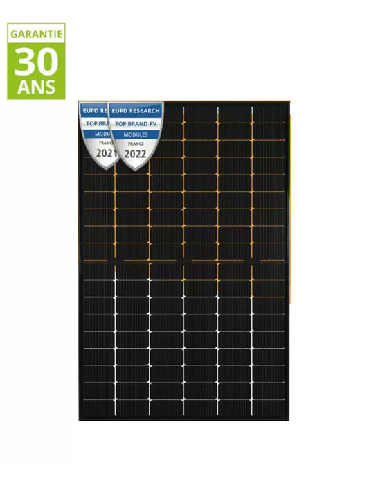 DUALSUN Panneau FLASH HALF CUT G/G 410WC MONO